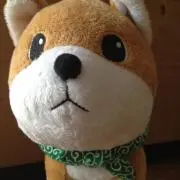 押入れ整理の画像