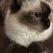 JMmama