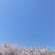 Mktの画像