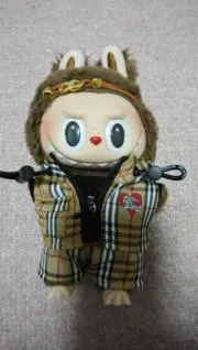 chipの画像