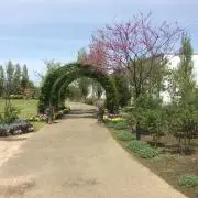 あこの画像