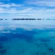 pontaの画像