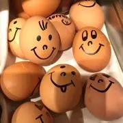 はなの画像