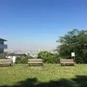 吉の画像