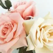 ゆみ☆100円引き受付中♪の画像
