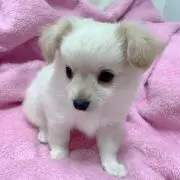 ♡ここママ♡
