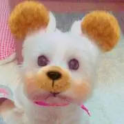 ami