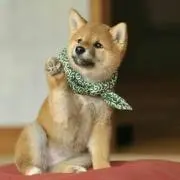 シュンタロウ