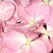 まる。