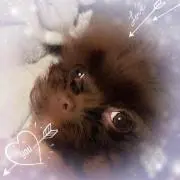 ばぶ꒰ •ॢ  ̫ -ॢ๑꒱✩