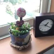むっちょ