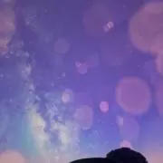 とかげの画像