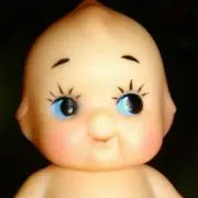 かめの画像