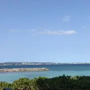 ゆきのん