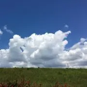 あぶさん