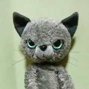 gogoかんちゃん