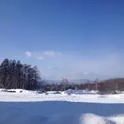 コバの画像