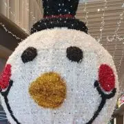 Miiの画像