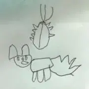ココの画像