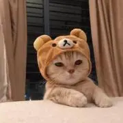 yuuの画像