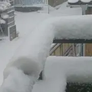 売り出し中！