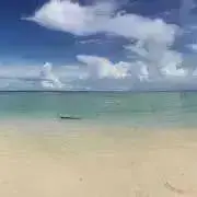 引っ越しのため割引中　次回発送6/4の画像