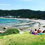ネイチャーボーイの画像