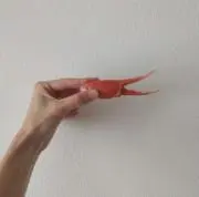 M10の画像