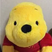 ednの画像