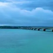 Fuku