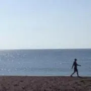 OKAYの画像
