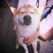 ☆くりまる☆