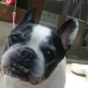 ちゃちゃぺ