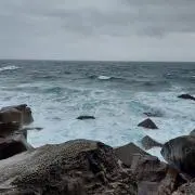 West blueの画像