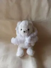 ぷーすけの画像