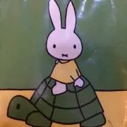 うさの画像