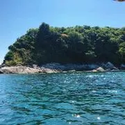 monacoの画像