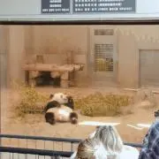 ももやの画像