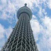 わさび太朗