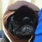 ロールパンナ