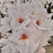 りょう