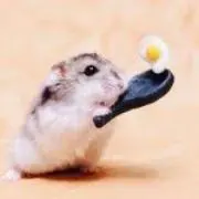 やまこ
