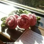 はる・あつママの画像