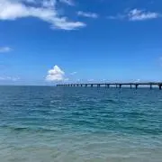 sakuの画像