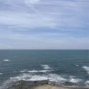 あみの画像