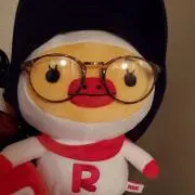 かつをの画像