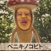たい