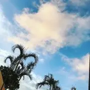 Minionの画像