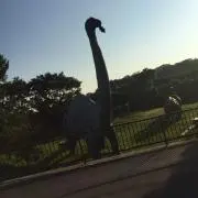ふじっこの画像
