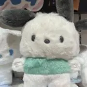 せいこの画像